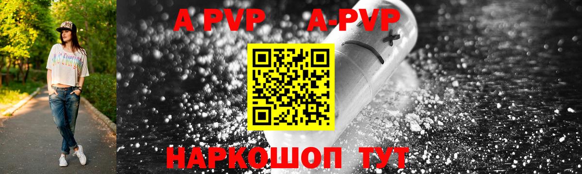 Альфа ПВП СК Великий Новгород