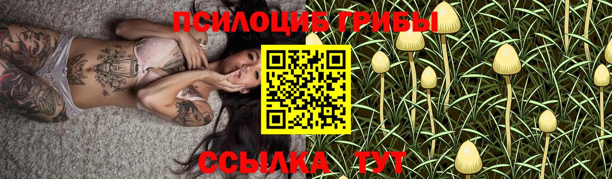Галлюциногенные грибы GOLDEN TEACHER Великий Новгород