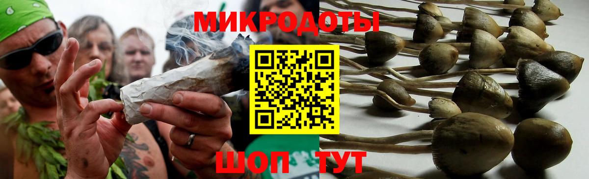 Великий Новгород  Псилоцибиновые грибы ЛСД  Вход с VPN 